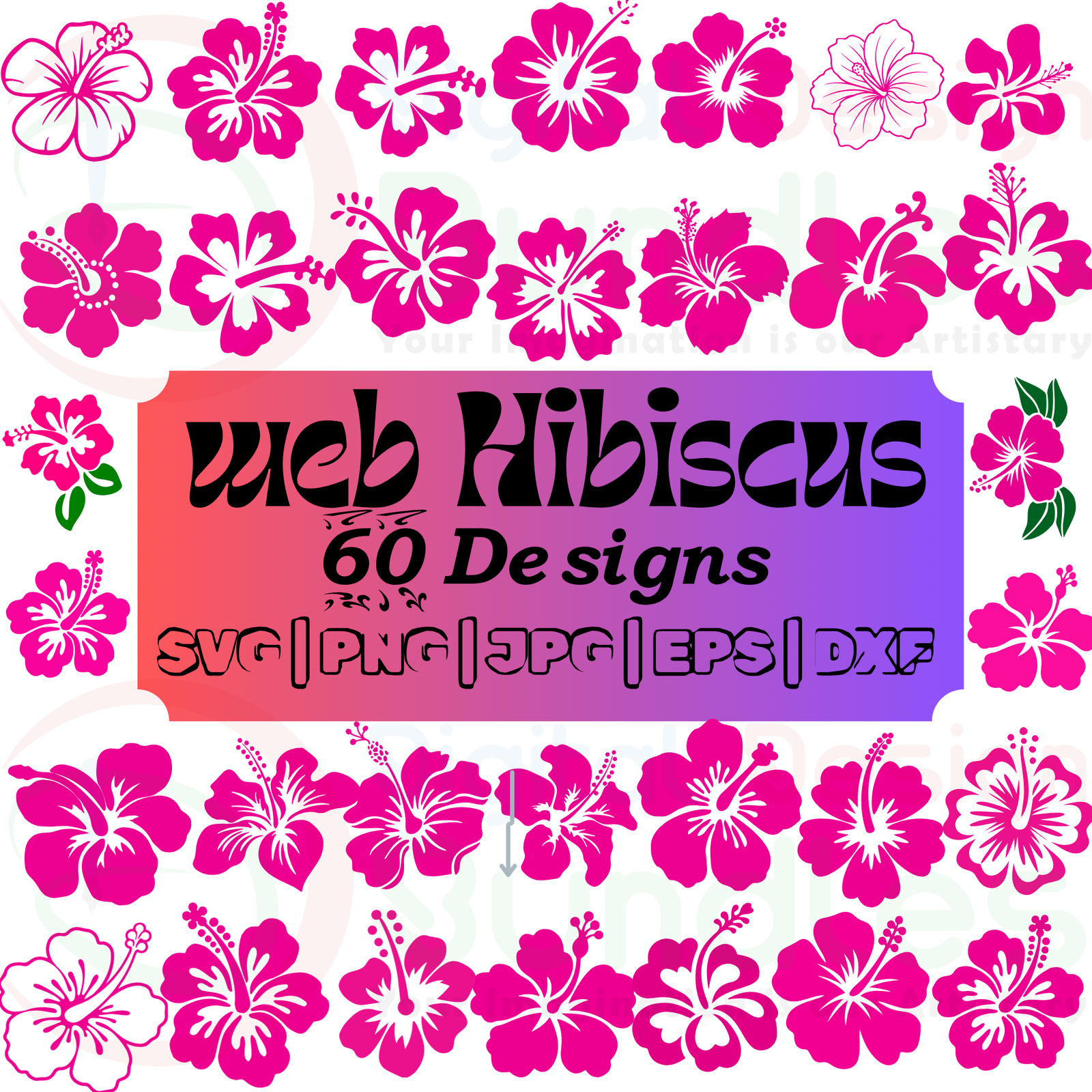 Hibiscus Flowers SVG